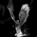 @sohl Discord Server Banner