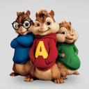 Wiewiórcza nora🐿🌳 Discord Server Banner