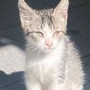 Fantasy Island Discord Server Banner