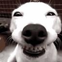 FiaMays Discord Server Banner