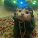 DumpsterFire Discord Server Banner