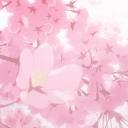 Pawprints Discord Server Banner