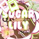 ♡﹒𝓈ug𝒶r  𝓁ilყ 🌈 Discord Server Banner