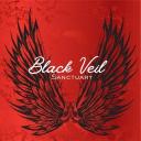 Black Veil Sanctuary Discord Server Banner