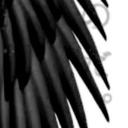 hks Discord Server Banner
