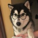 My den Discord Server Banner