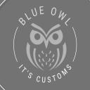 Blue Owl Customs Discord Server Banner
