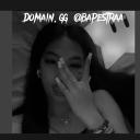 DOMAIN.GG Icon